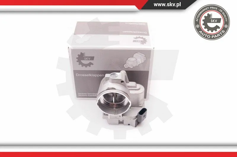 Throttle Body (12SKV061)