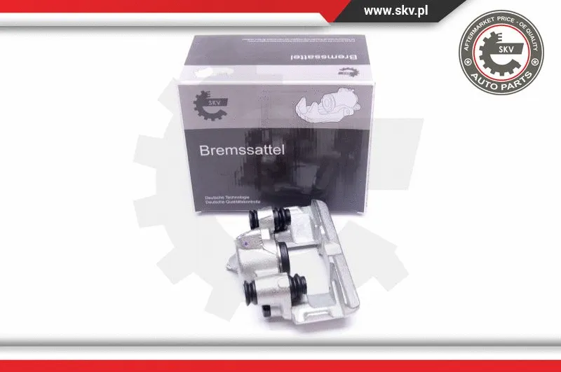 Brake Caliper (42SKV253)