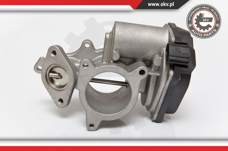 EGR Valve