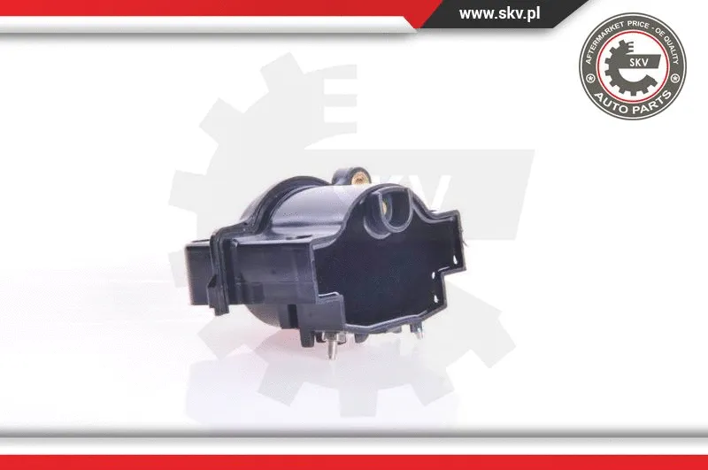 Ignition Coil (03SKV091)