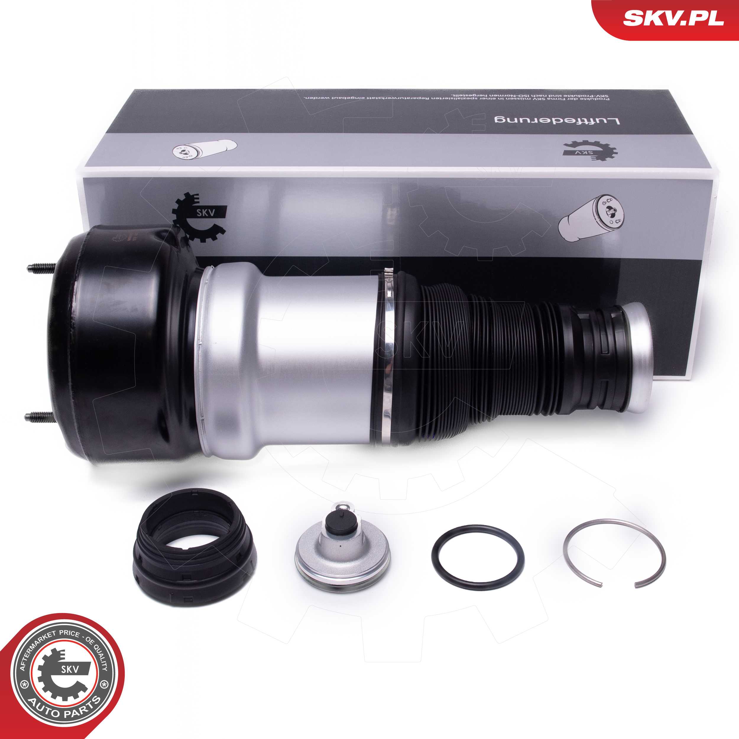 Air Suspension Strut (58SKV083)