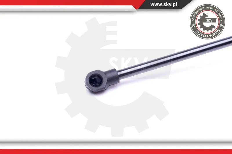 Gas Spring, boot/cargo area