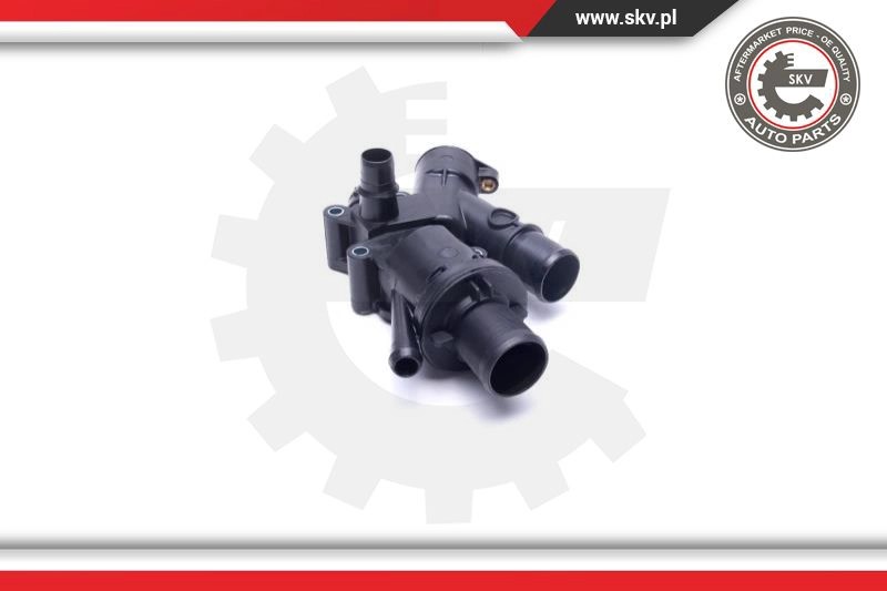 Thermostat, coolant