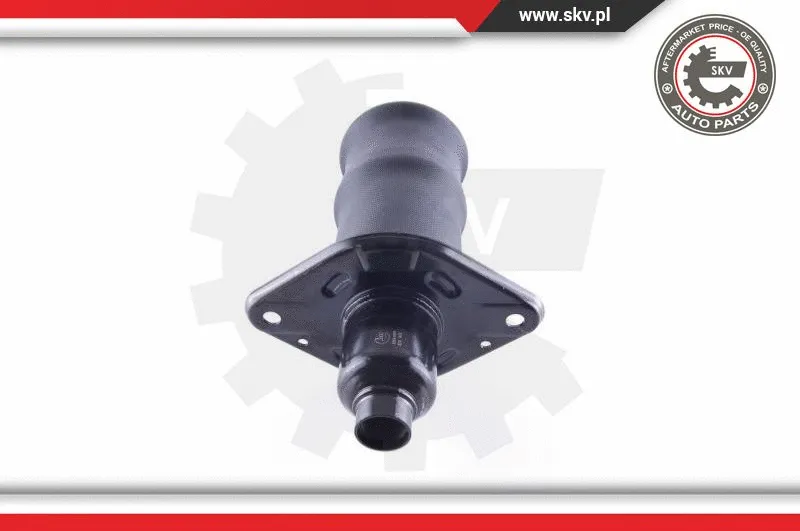 Air Spring, suspension