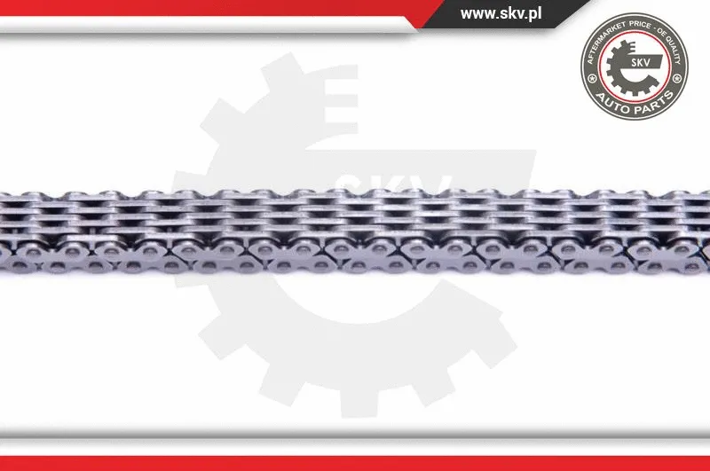 Timing Chain Kit