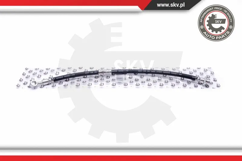 Brake Hose (35SKV152)