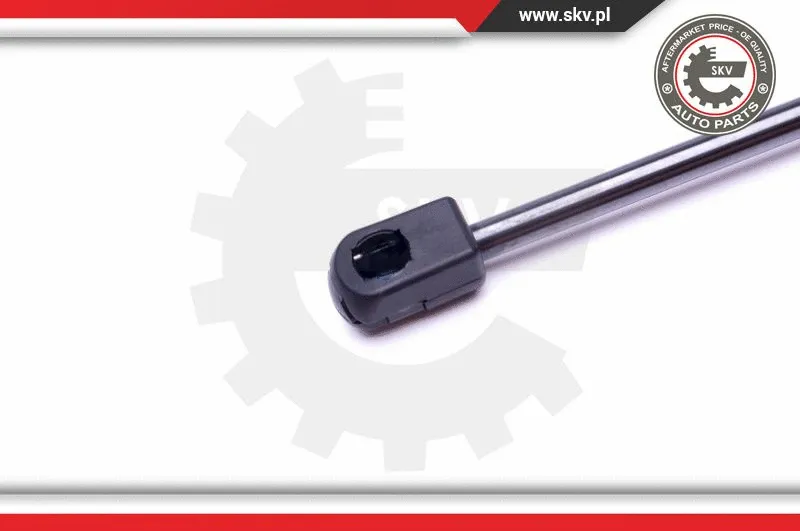 Gas Spring, boot/cargo area