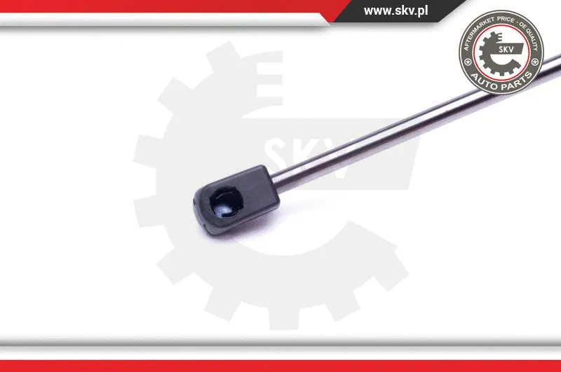 Gas Spring, boot/cargo area