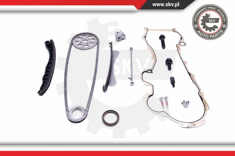 Timing Chain Kit