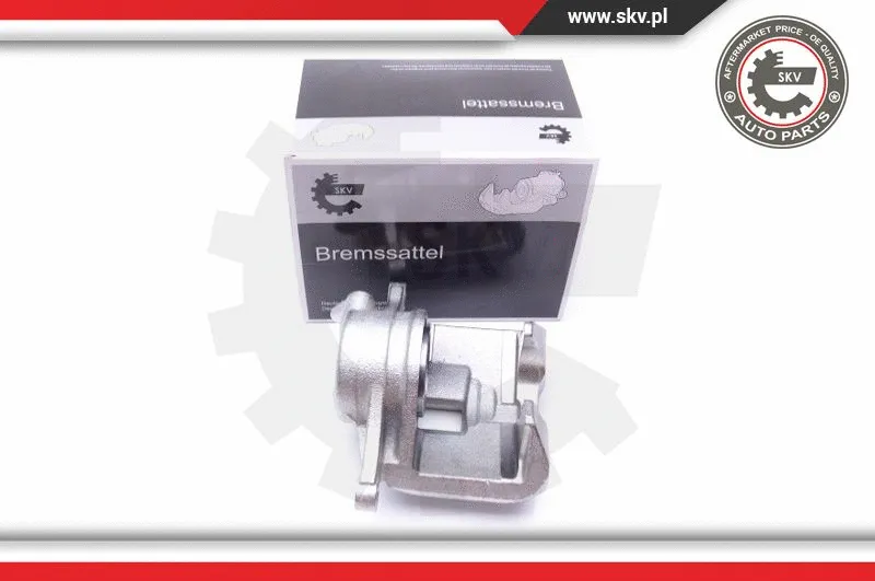 Brake Caliper (45SKV701)