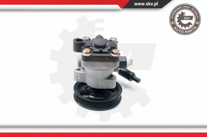 Hydraulic Pump, steering (10SKV205)