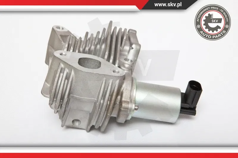 EGR Valve