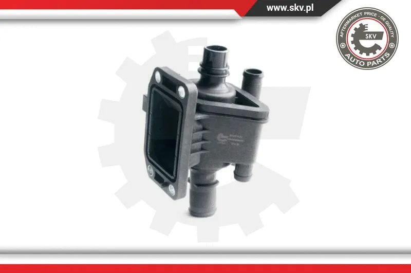 Thermostat, coolant