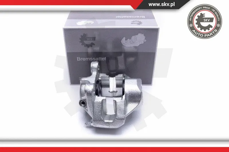 Brake Caliper (55SKV402)