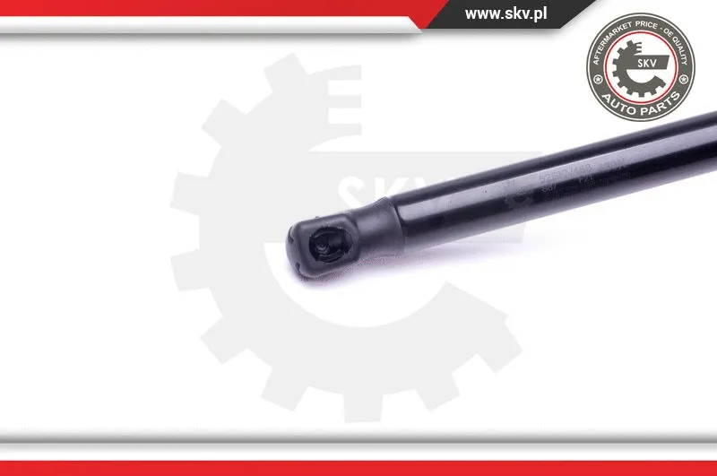 Gas Spring, boot/cargo area