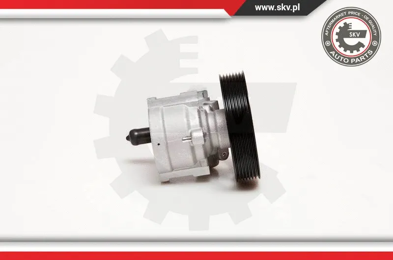 Hydraulic Pump, steering
