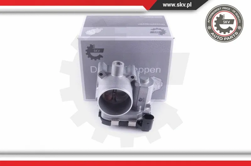 Throttle Body (12SKV087)