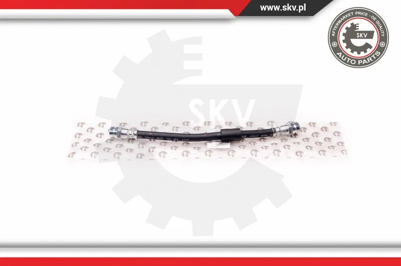 Brake Hose (35SKV005)