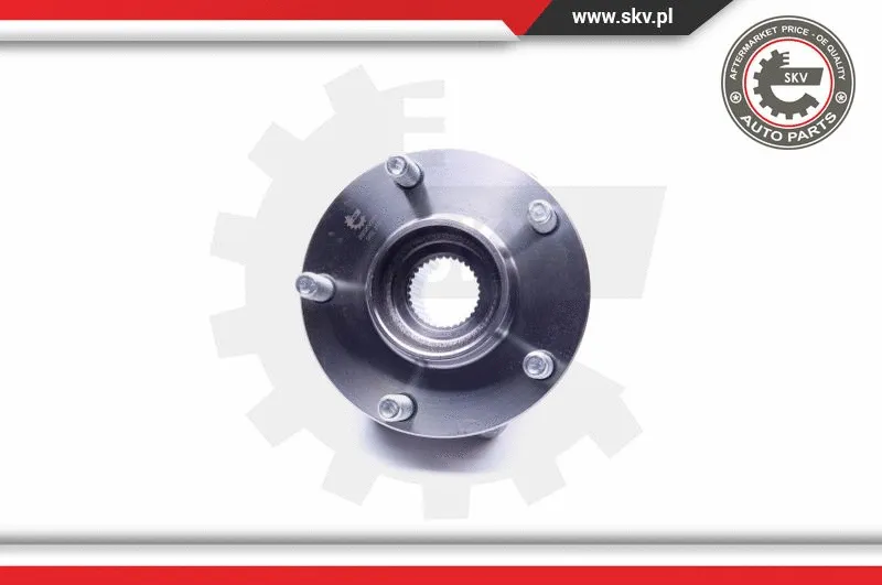 Wheel Bearing Kit