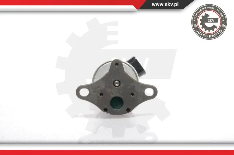 EGR Valve (14SKV017)