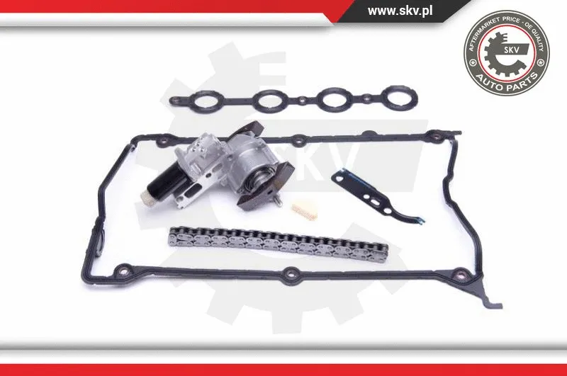 Timing Chain Kit