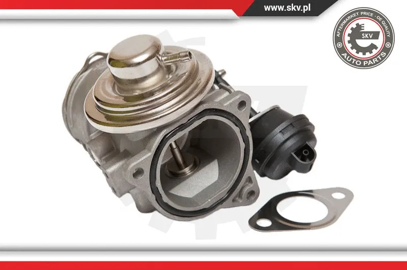 EGR Valve