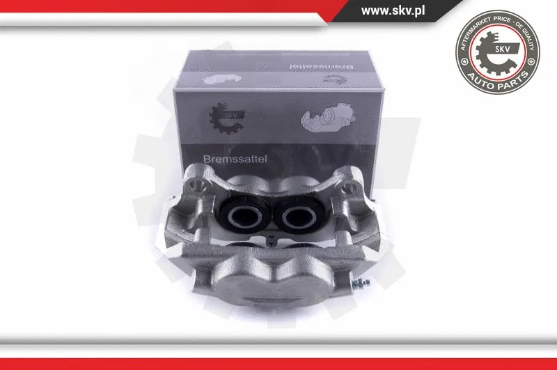 Brake Caliper (55SKV342)