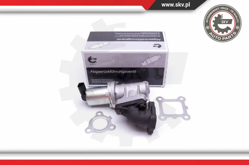EGR Valve (14SKV214)