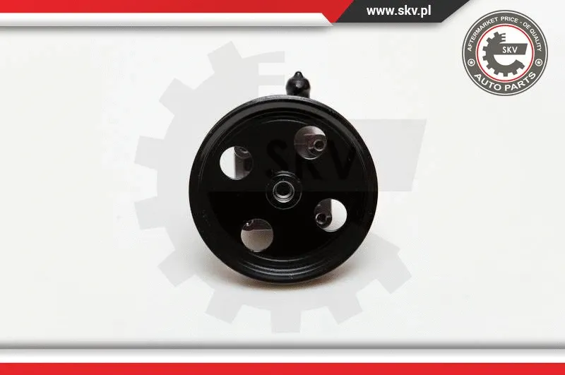 Hydraulic Pump, steering (10SKV177)