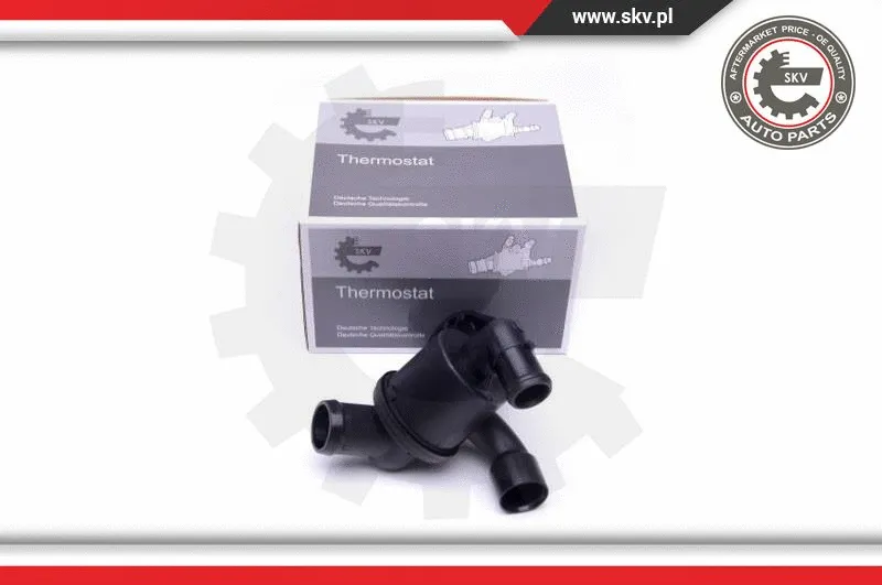 Thermostat, coolant (20SKV101)