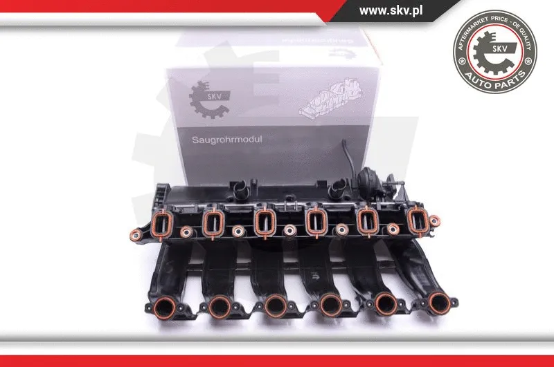 Intake Manifold Module (49SKV016)