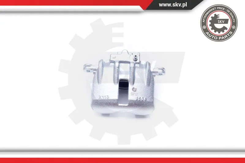 Brake Caliper (42SKV181)