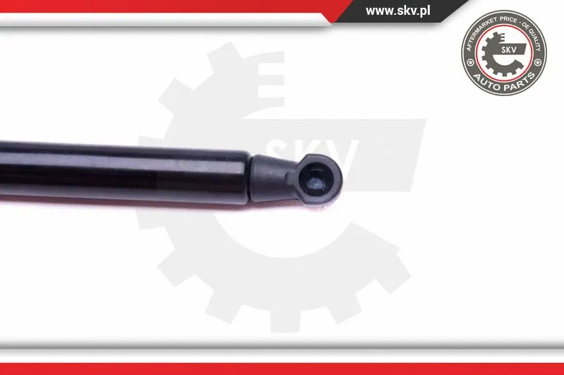 Gas Spring, boot/cargo area