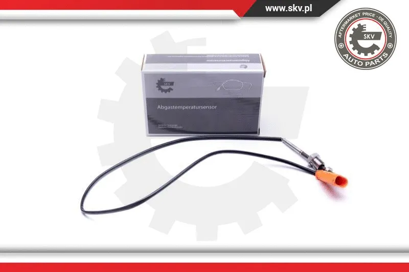 Sensor, exhaust gas temperature (30SKV387)