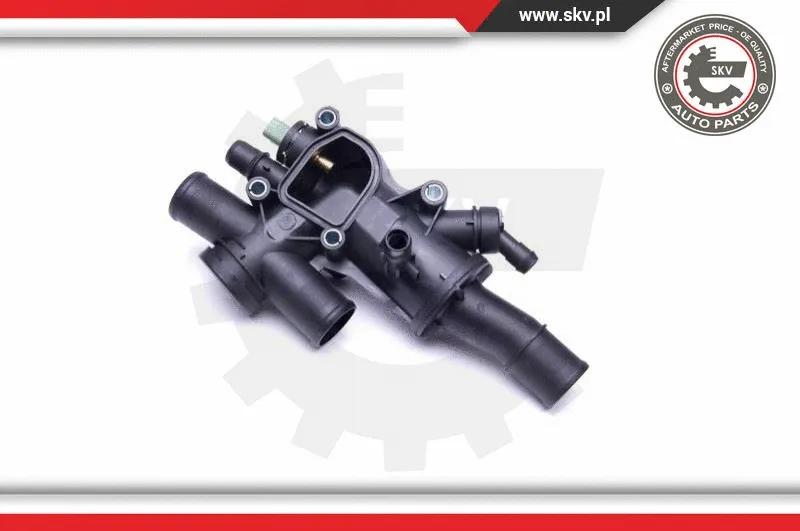 Thermostat, coolant