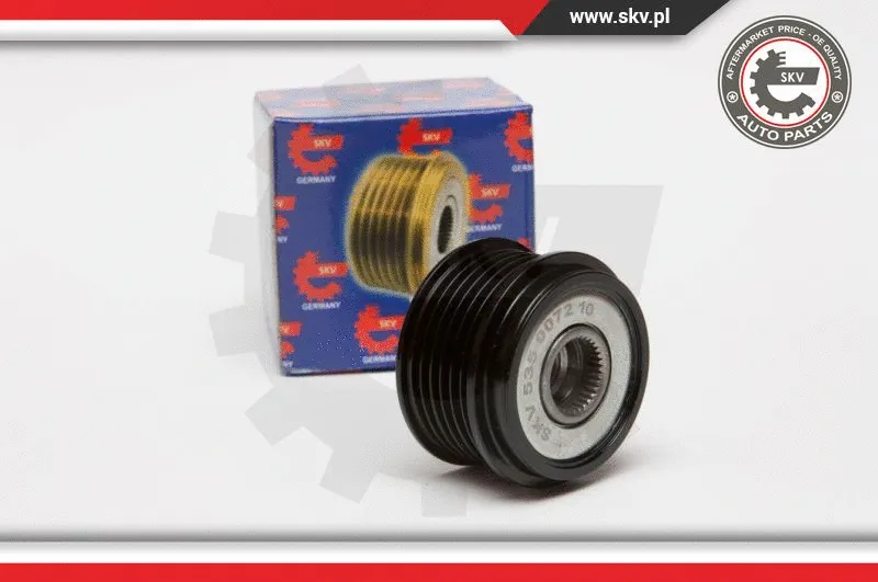 Alternator Freewheel Clutch (11SKV035)
