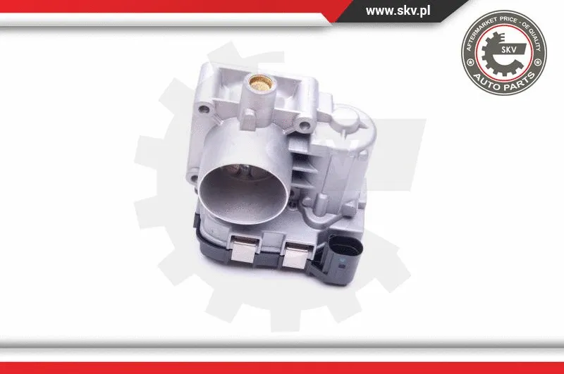 Throttle Body
