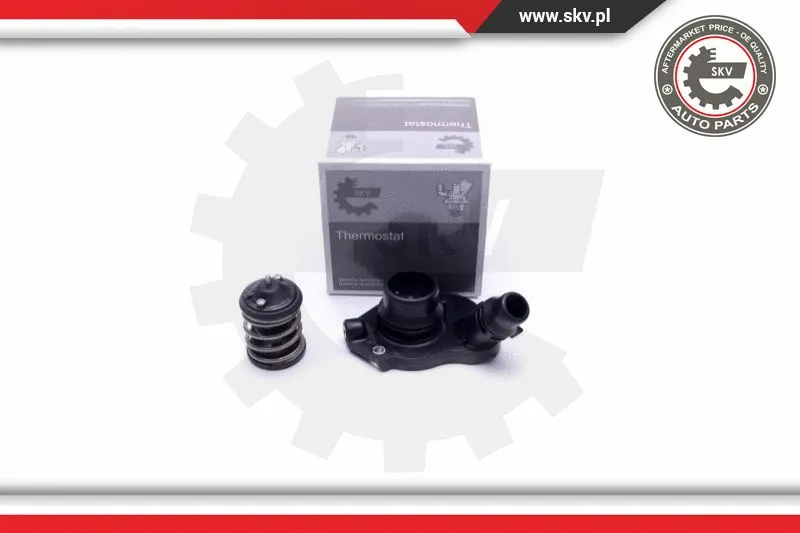 Thermostat, coolant (20SKV136)