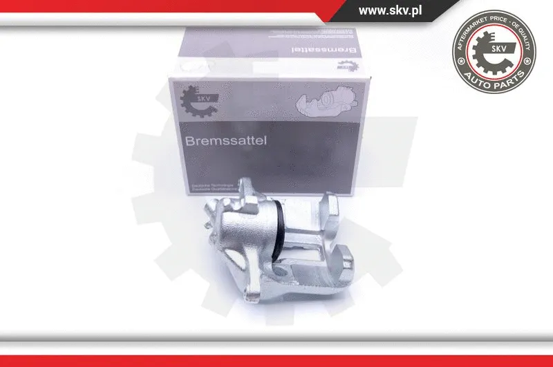 Brake Caliper (42SKV762)