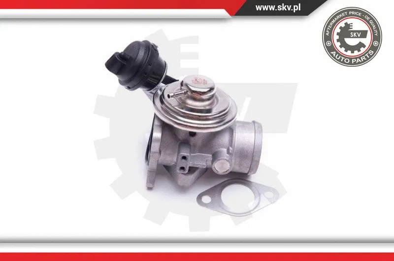 EGR Valve