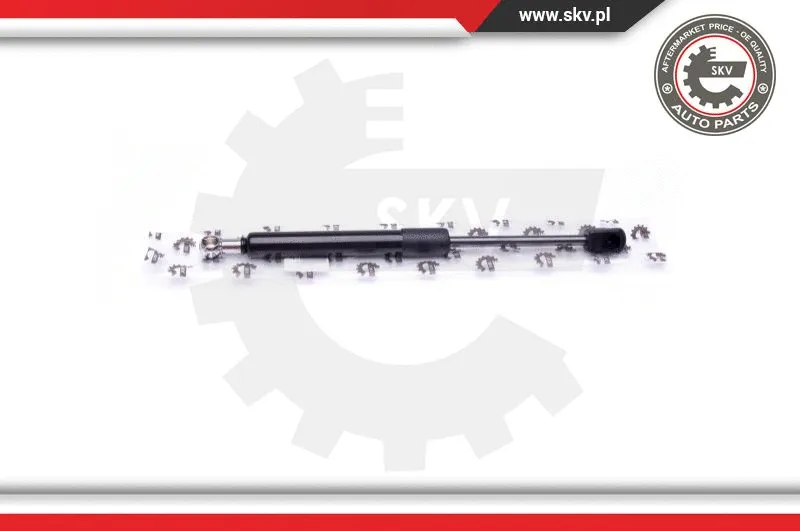 Gas Spring, boot/cargo area