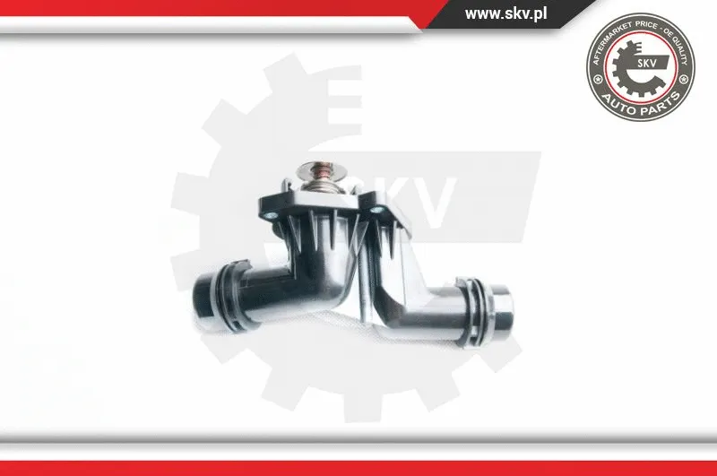 Thermostat, coolant