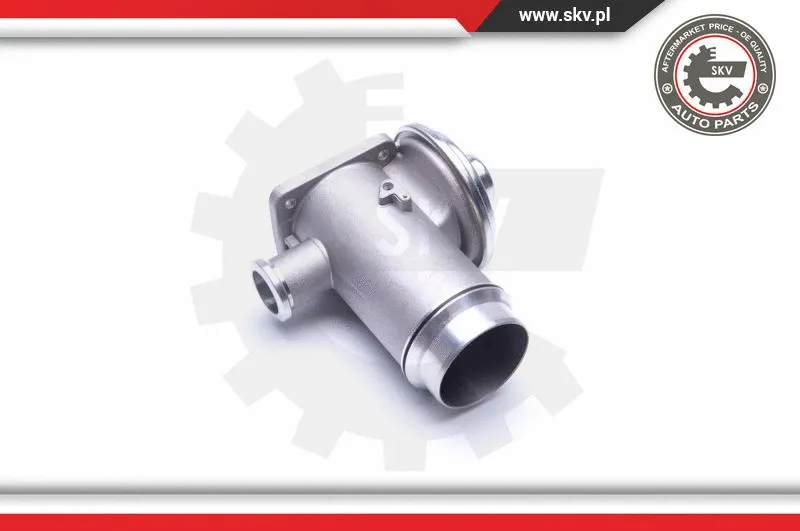 EGR Valve (14SKV175)