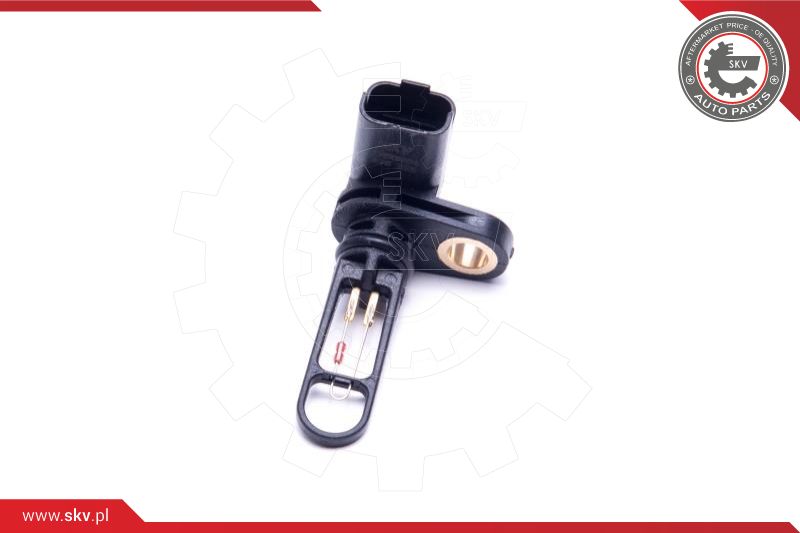 Sensor, intake air temperature