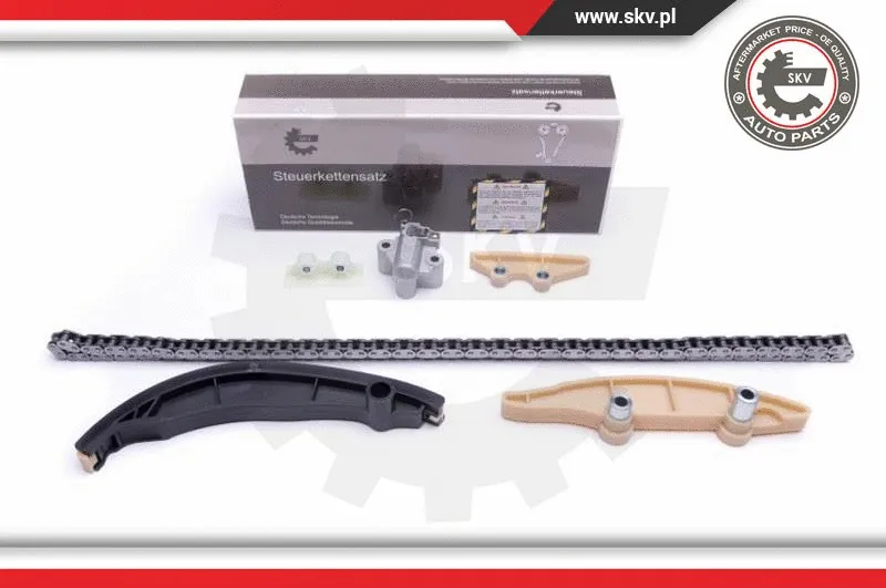 Timing Chain Kit (21SKV190)
