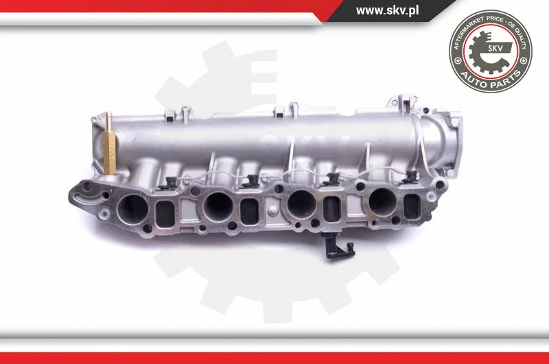 Intake Manifold Module
