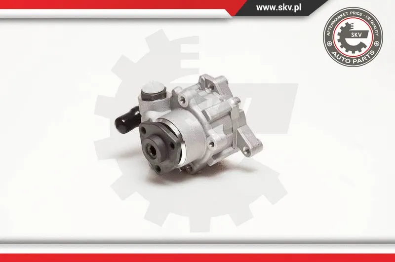 Hydraulic Pump, steering (10SKV124)