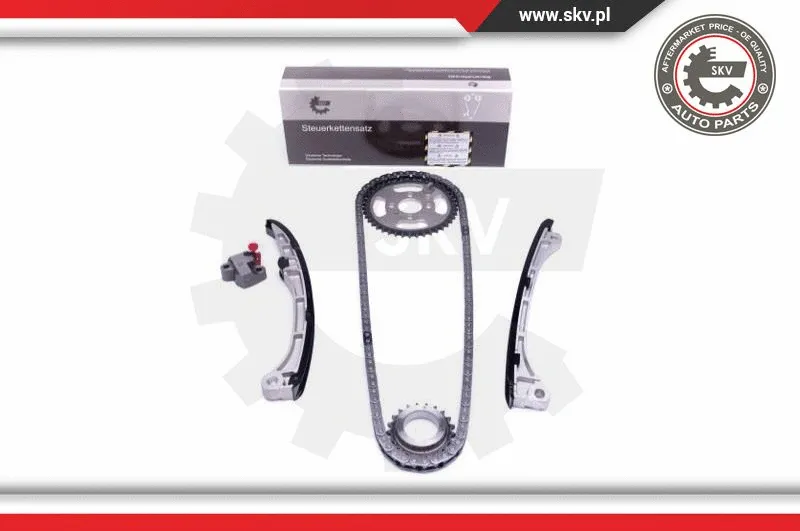 Timing Chain Kit (21SKV149)