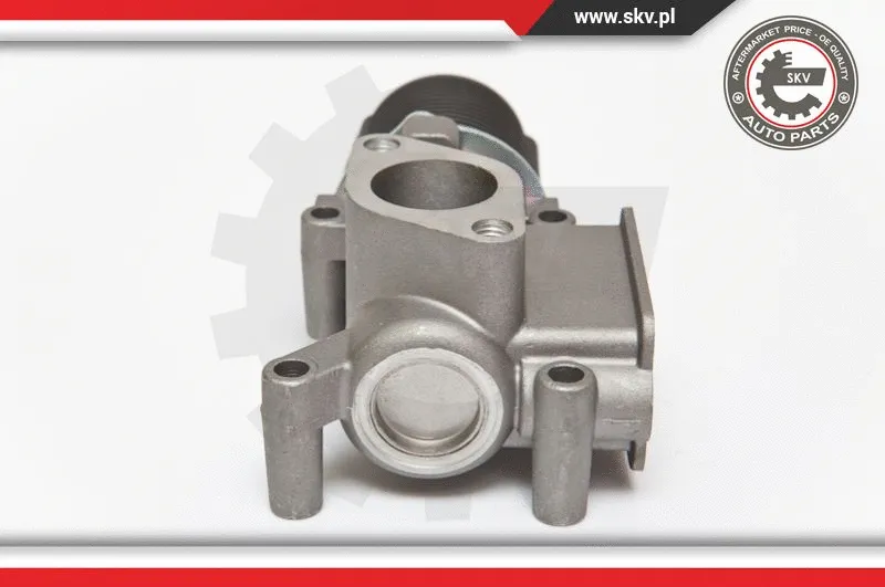 EGR Valve (14SKV064)