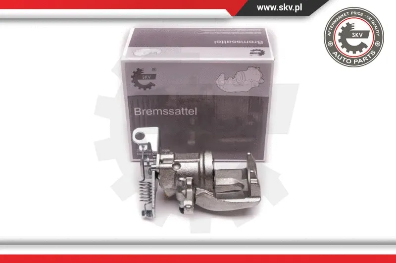 Brake Caliper (23SKV048)
